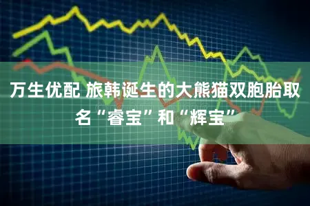 万生优配 旅韩诞生的大熊猫双胞胎取名“睿宝”和“辉宝”