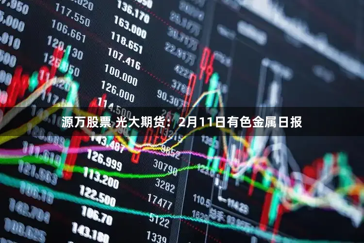 源万股票 光大期货：2月11日有色金属日报