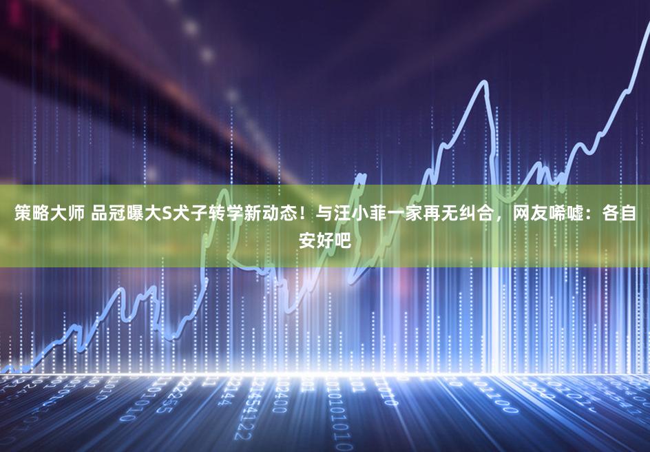 策略大师 品冠曝大S犬子转学新动态！与汪小菲一家再无纠合，网友唏嘘：各自安好吧