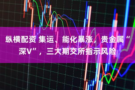 纵横配资 集运、能化暴涨，贵金属“深V”，三大期交所指示风险