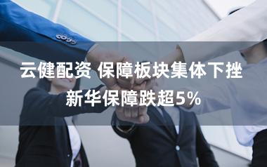 云健配资 保障板块集体下挫 新华保障跌超5%