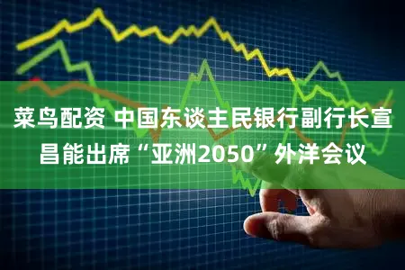 菜鸟配资 中国东谈主民银行副行长宣昌能出席“亚洲2050”外洋会议