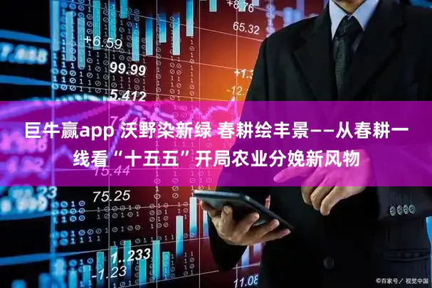 巨牛赢app 沃野染新绿 春耕绘丰景——从春耕一线看“十五五”开局农业分娩新风物