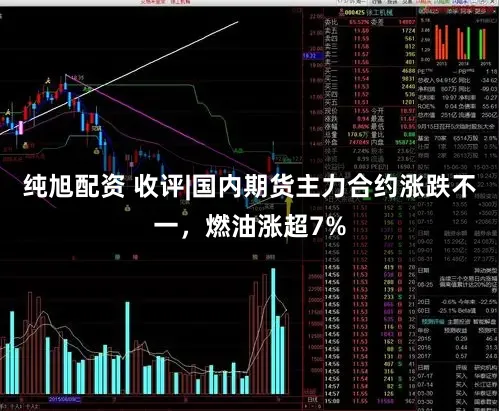 纯旭配资 收评|国内期货主力合约涨跌不一，燃油涨超7%