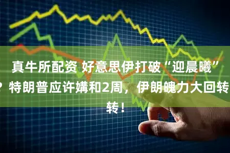 真牛所配资 好意思伊打破“迎晨曦”？特朗普应许媾和2周，伊朗魄力大回转！