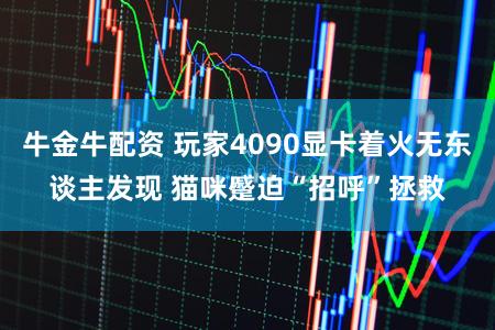 牛金牛配资 玩家4090显卡着火无东谈主发现 猫咪蹙迫“招呼”拯救