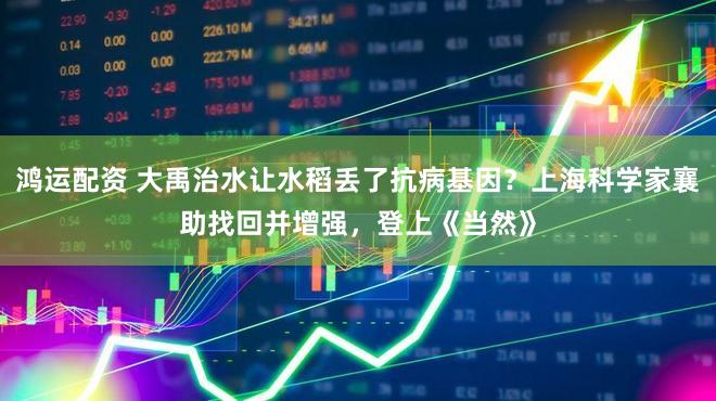 鸿运配资 大禹治水让水稻丢了抗病基因?上海科学家襄助找回并增强,登上《当然》