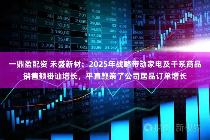 一鼎盈配资 禾盛新材：2025年战略带动家电及干系商品销售额褂讪增长，平直鞭策了公司居品订单增长