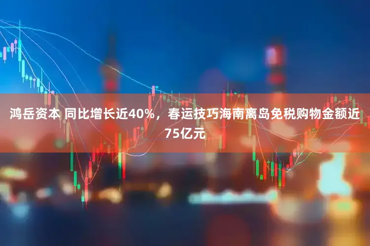 鸿岳资本 同比增长近40%,春运技巧海南离岛免税购物金额近75亿元