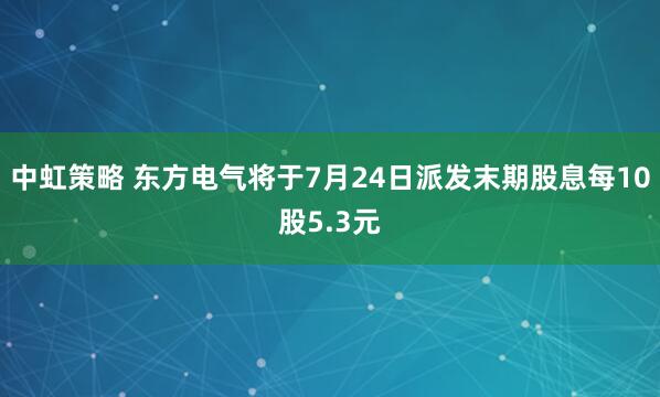 中虹策略 东方电气将于7月24日派发末期股息每10股5.3元